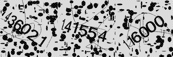 Please enable image downloads in your browser.