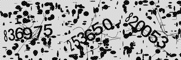 Please enable image downloads in your browser.