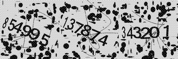 Please enable image downloads in your browser.