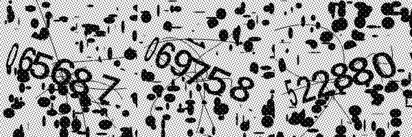 Please enable image downloads in your browser.