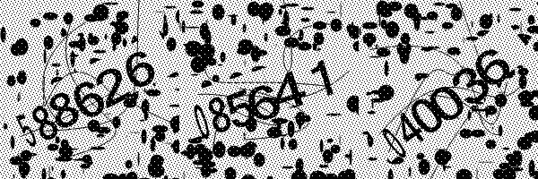 Please enable image downloads in your browser.