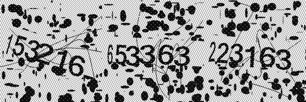 Please enable image downloads in your browser.