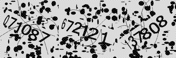 Please enable image downloads in your browser.