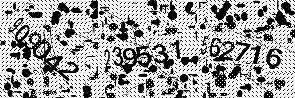 Please enable image downloads in your browser.